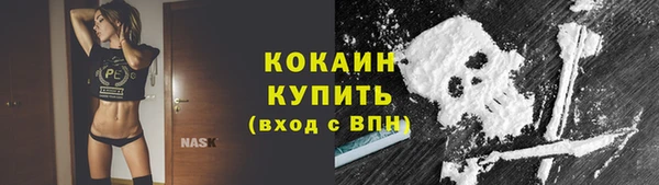 гашик Беломорск