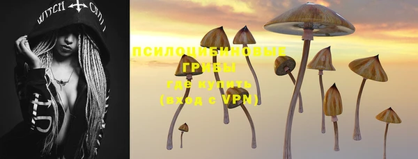 гидропоника Белокуриха