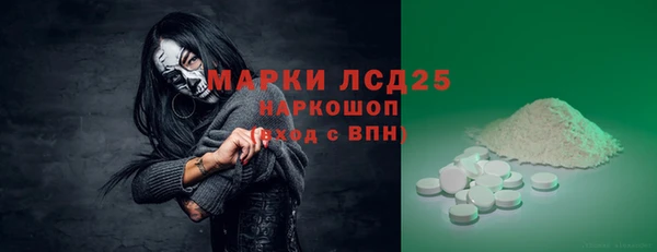 гашик Беломорск